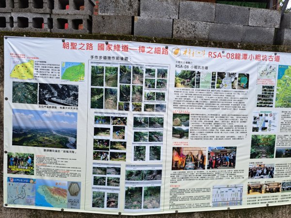 2026樟之細道：小粗坑古道3111820