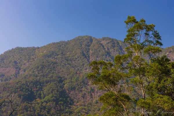 谷關七雄_唐麻丹山3015647