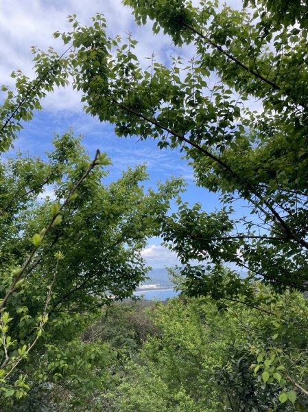 雪山尾稜北段2728631