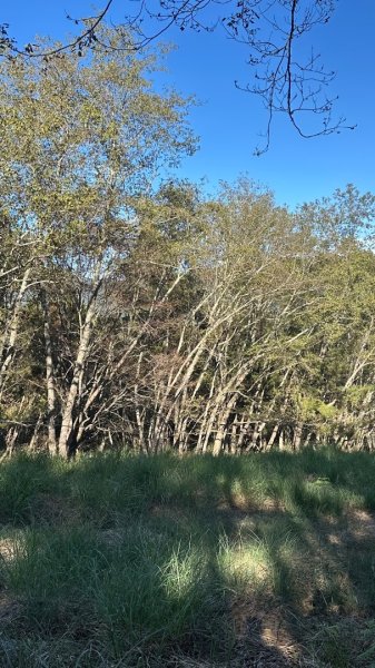 馬武霸下武陵2962378