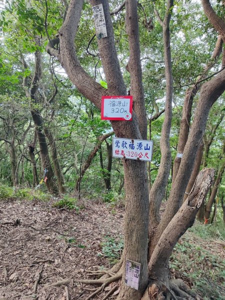 龜山到樹林散步一日遊2636205