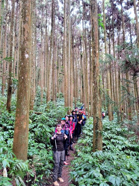 年輕人爬山趣～向天湖山、三角湖山、光天高山 2/5 20232038089