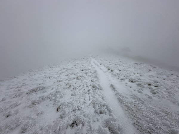 南二段撤退行2743041