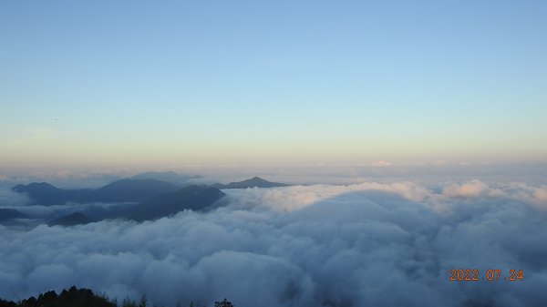 最高小百岳-大塔山2663M&阿里山二延平步道1774984