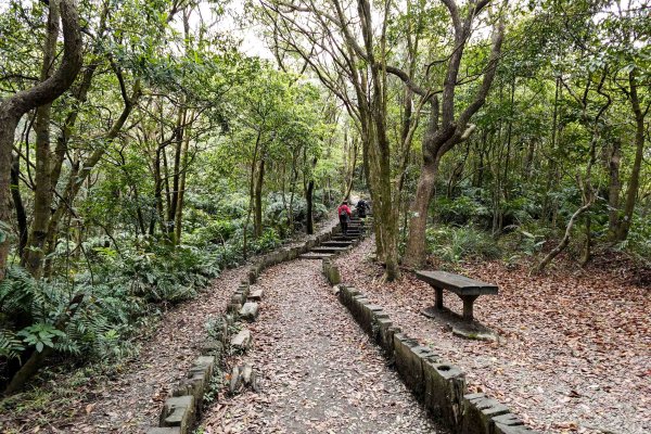 大崙頭尾山｜小百岳2756495