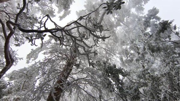 雪季北得拉曼2956477