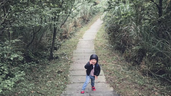 20200411-五分山步道914471