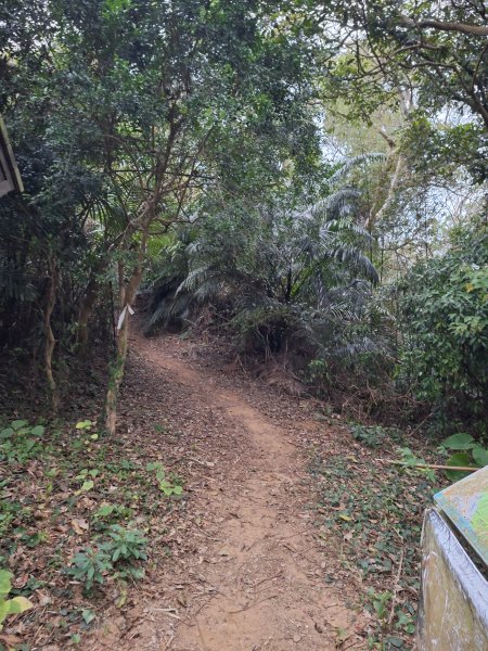 文林古道(鄧雨賢公園起登)202401222696174