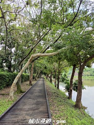 【台中東勢】東勢林業文化園區x許良宇圖書館3081528