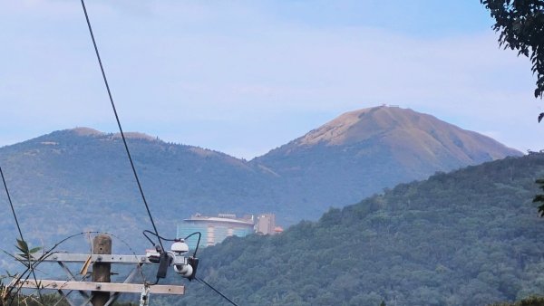 台北狗殷勤古道上平菁42巷下溪山古道賞櫻行2704897