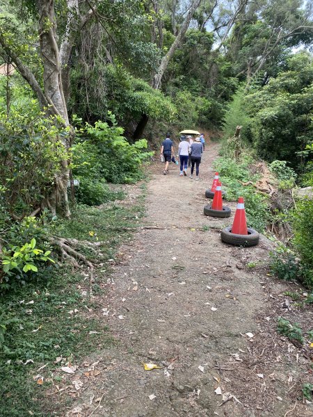 20250706-EP.06犁頭山、文山步道-2025森遊竹縣皮皮獅探險隊2851713