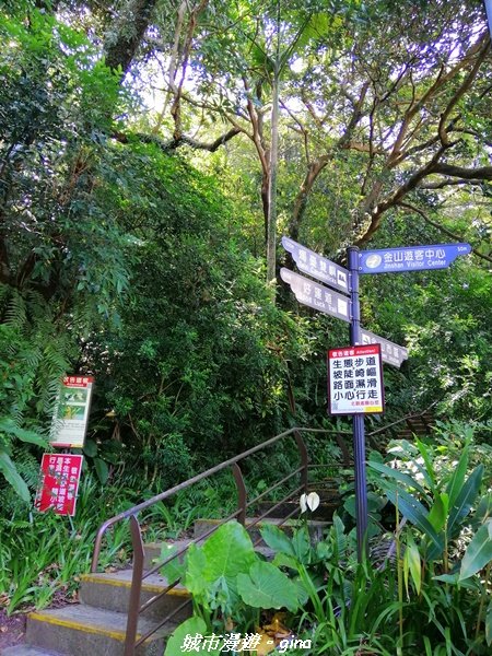 【新北。金山】獅頭山公園步道~遠眺金山八景之燭臺雙嶼1458192