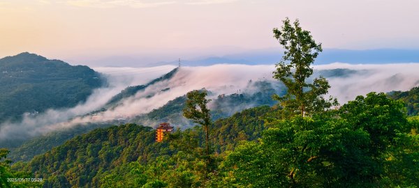 石碇趴趴走追雲趣 #二格山 #雲瀑 #藍腹鷴母鳥 #雲海流瀑 #霧虹 5/172788224