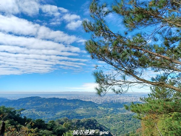 【台中北屯】台灣百大必訪步道。 全台少見的圓木步道。 大坑四號步道 ( 小百岳頭嵙山)1958330