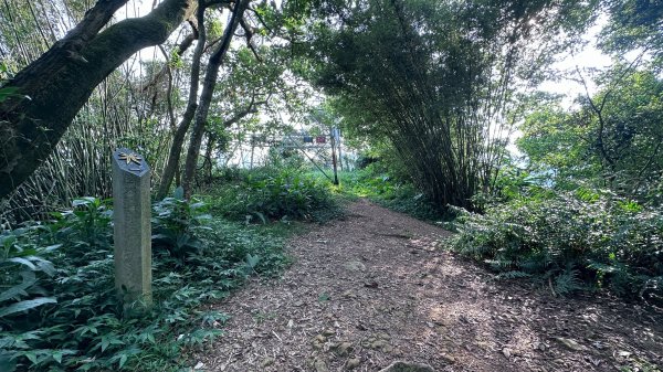 淡蘭古道南路第一段第二段2822838