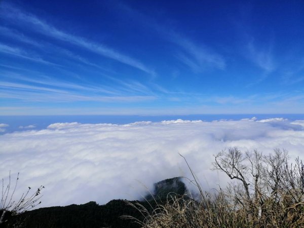 鹿場-加里山_彰化育樂協會_202401182431223