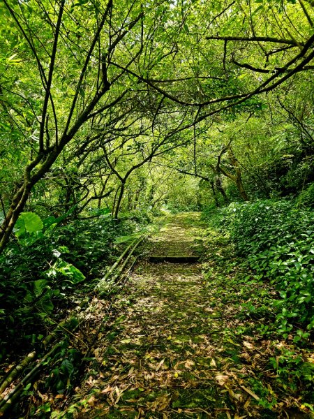 (五分山系)菁桐煤礦-2025微笑山線大縱走尋寶集章任務2855319