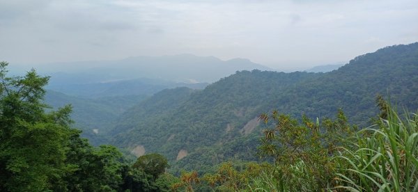 白雲山.高雄甲仙2770668