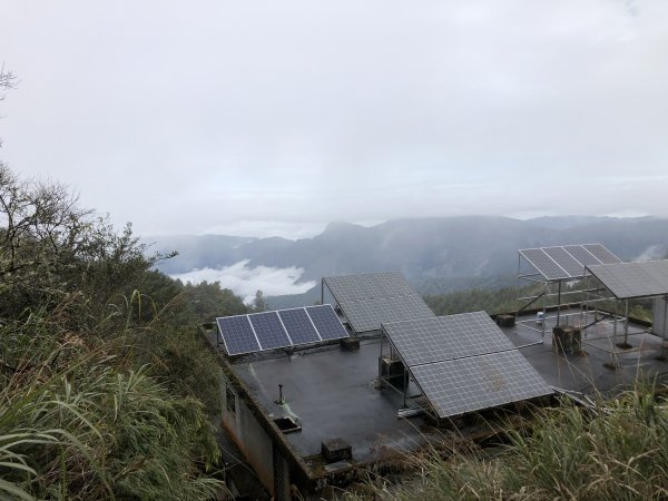 阿里山國家森林遊樂區，大塔山一日輕鬆遊1615619