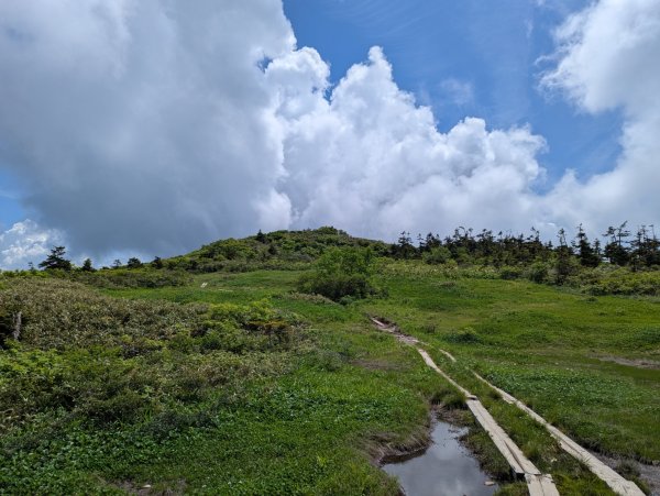 20260703 秋田森吉山3081930