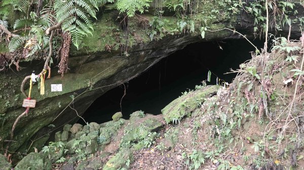 20250714灰窯山-司公碗帽山-南山坪山-平湖山-蝙蝠洞(乾溼洞)2836132