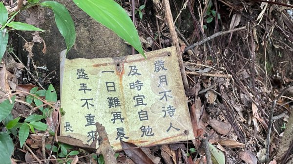 微笑山⛰️線-大棟-二格山-五分山-天上山-鳶山💎12條步道完成💙2836369