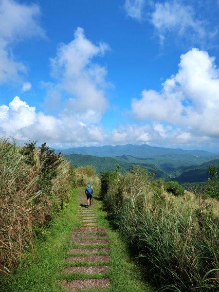草嶺古道-大溪線-桃源谷-虎字碑-草嶺古道-福隆 202409092593291