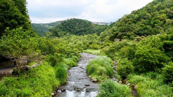 九寮溪自然步道2826867