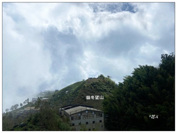 樟空倫山、大崙頭山、貓冬望山、民眾坪山 連走2839048