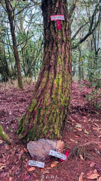 億年橋上志佳陽2960142