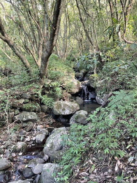 小綿羊草原2661980