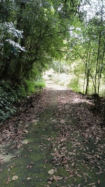 20250927 馬那邦山 - 上湖登山口2895885