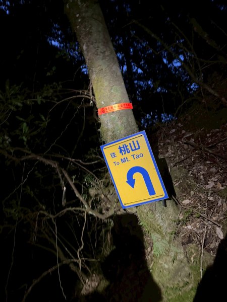 1141108-09桃山單攻2935953