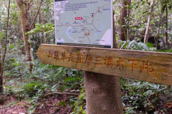 打鐵寮古道.白石山2752908