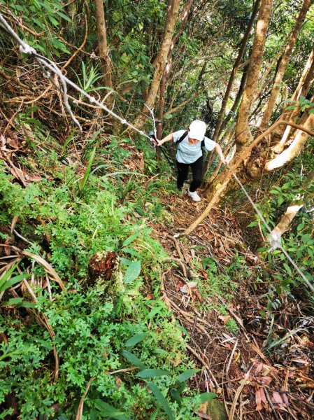 九華山福德宮-平溪子山-台和煤礦-北43鄉道-106縣道2907777