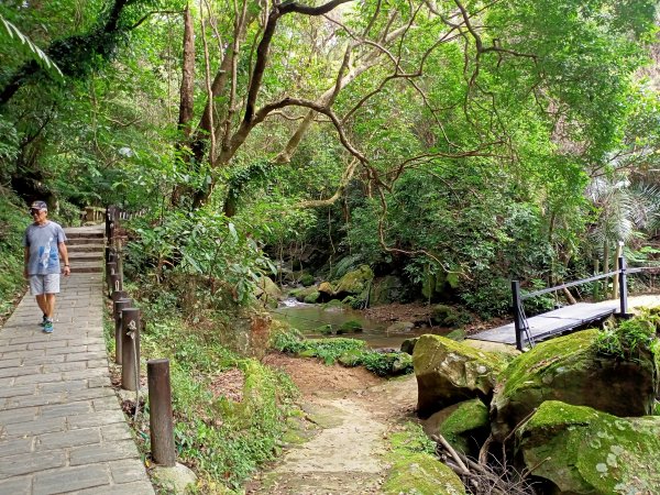 【大內連峰】大湖公園→內溝溪生態步道1727858