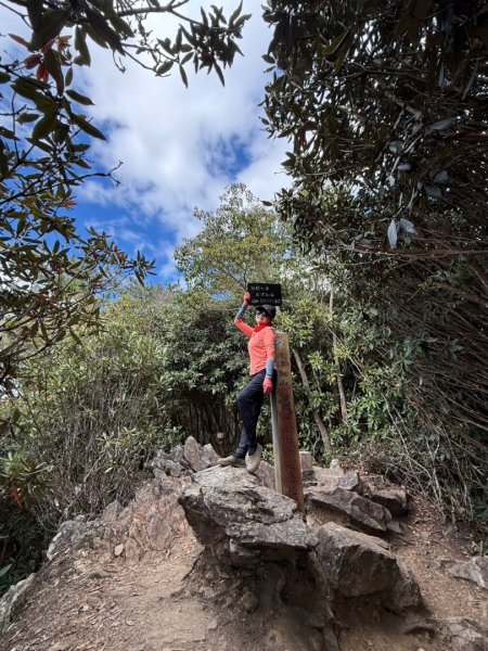 【谷關七雄】波津加(H1771.6m)肉腳配速成功2670582