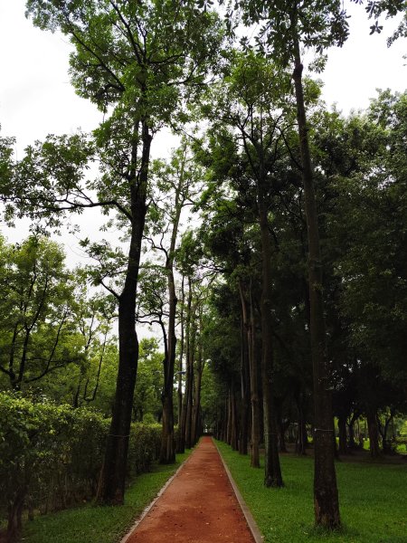 大安森林公園、西門町、象山公園【2025臺北健走趣】2834206