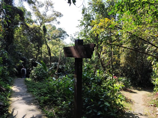【臺北大縱走 5】碧山巖→忠勇山越嶺步道→金龍產業道路→圓明寺步道→鄭成功廟步道→文間山→劍潭山步道2744834