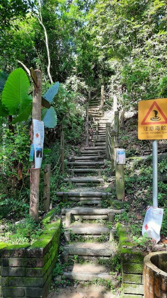 《台中》秋虎飆汗｜潭子新田登山步道上聚興山O繞202409152594064