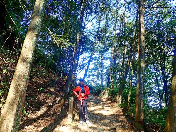 橫嶺山連走鳶嘴山2019/4/30575777