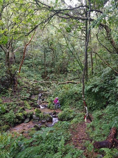 溪尾寮古道、北勢溪古道O走1628819