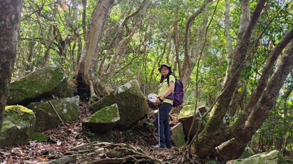 大混李棟山2816337