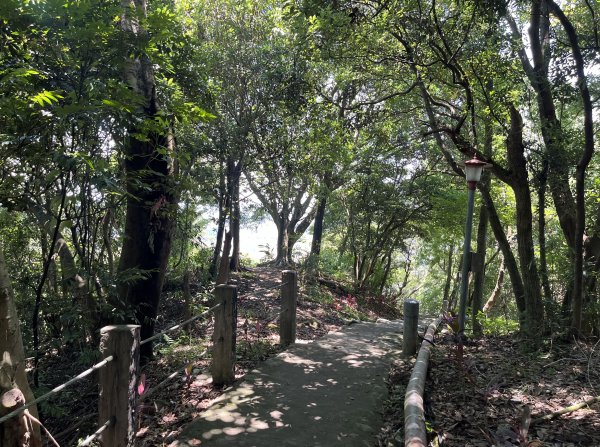 [跟著2025雙北世壯運探索雙北市-7/21] 2025_0615 疾風足球道（輔仁大學－明志路二段2814987