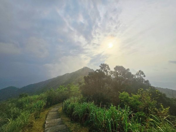 雨後，五分之美，十分愜意2755768