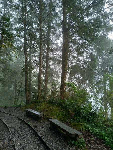 宜蘭太平山見晴懷古步道708340