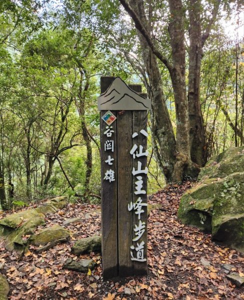 【中級山】谷關七雄八仙山2745090