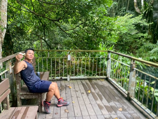 南庄.蓬萊溪護魚步道.四十二份坪步道.小東河步道【差點一事無成的七月暑假】2849362