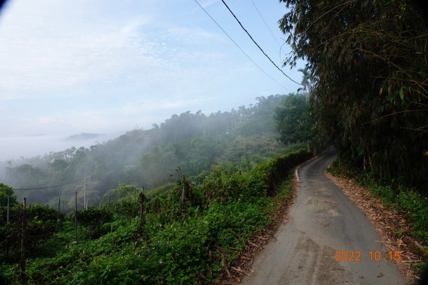 南投 埔里 白葉山1880135