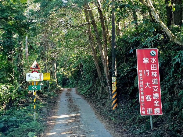 北得拉曼巨木步道-新竹縣尖石鄉2663487